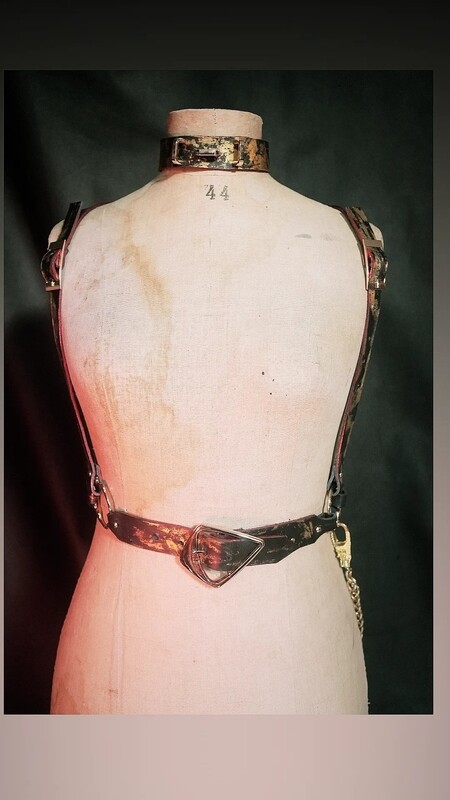 The Year of The Dragon Collection