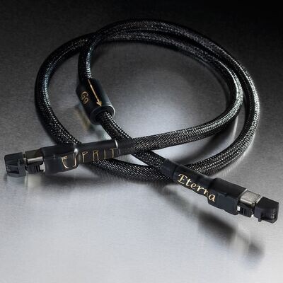RJ45 Cables