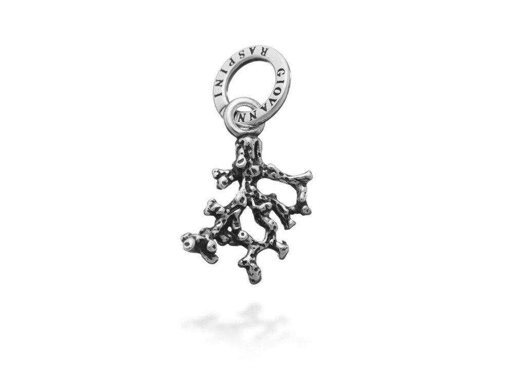 CHARM CORALLO GIOVANNI RASPINI