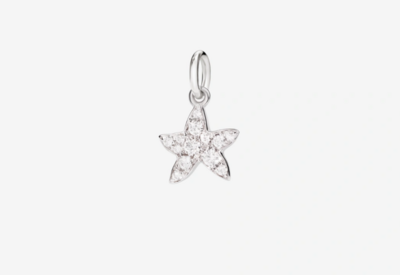 DODO CHARM STELLINA PREZIOSO