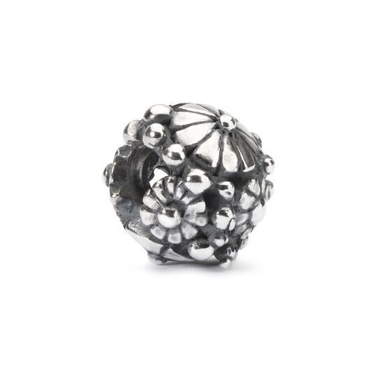TROLLBEADS DONI DELLA NATURA