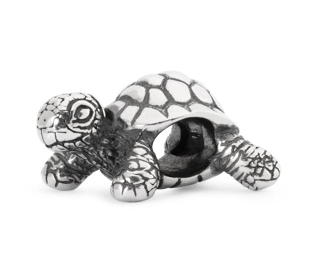 TROLLBEADS TARTARUGA