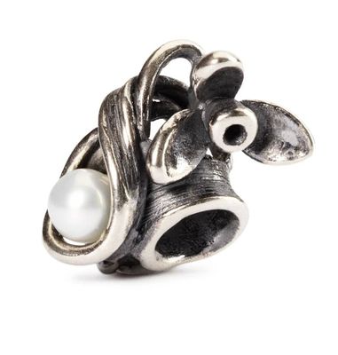 TROLLBEADS BUCANEVE DI GENNAIO