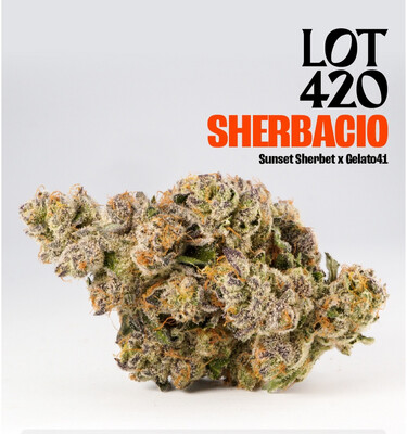 Lot 420 - Sherbacio 28g