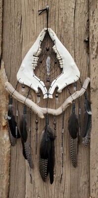 Jaw Bones w/Driftwood, Quartz & Garnet Jaw Bones w/Driftwood, Quartz & Garnet