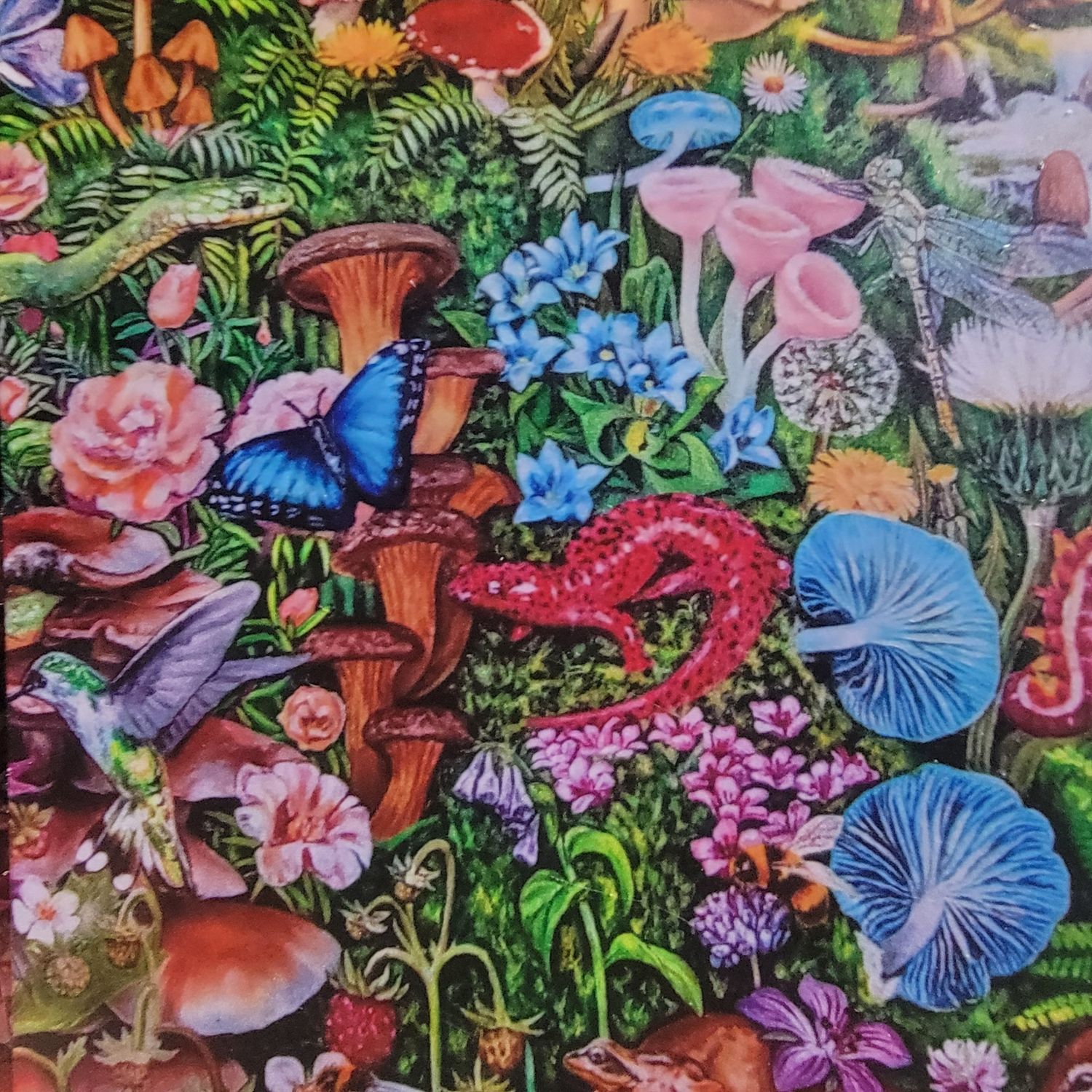 &quot;Reclamation (detail)&quot; Magnet