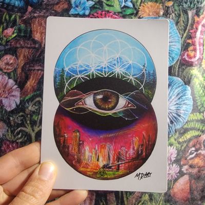 &quot;Duality&quot; Magnet