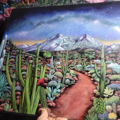 16x20