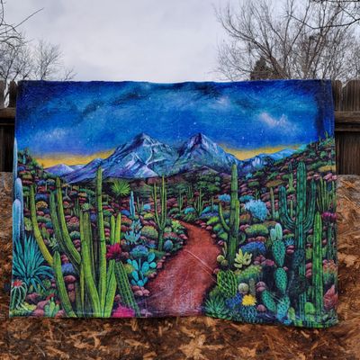 Fuzzy Desert Nightscape Tapestry/blanket