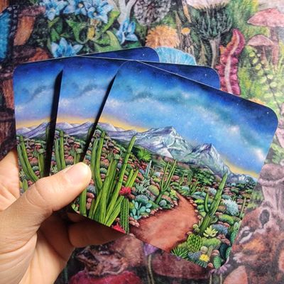 Desert Nightscape Coaster