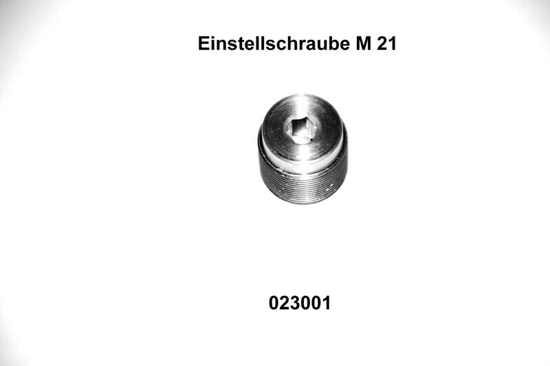 Einstellschraube M21