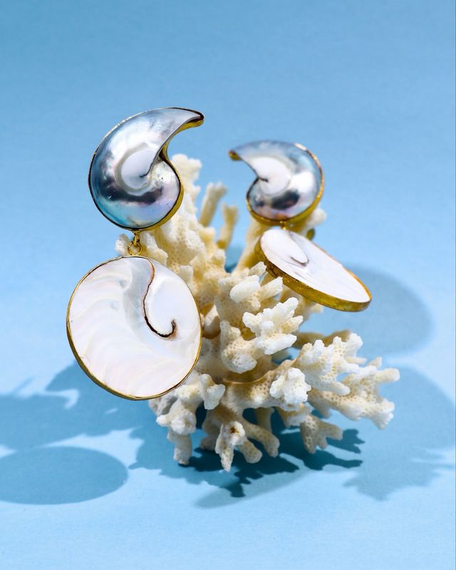 Nautilus Earrings In Natural Seashell