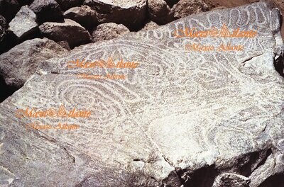 Petroglifos canarios / Canarian petroglyphs
