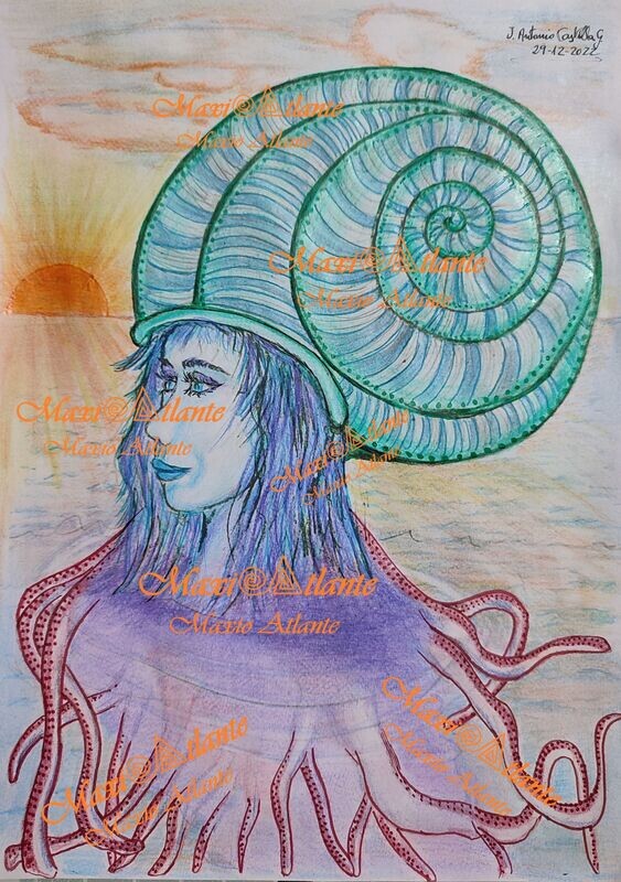 CARACOLA ATLANTE NAUTILHÍBRIDA