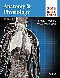 Anatomy & Physiology with Workbook by Tortora G.J