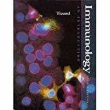 Immunology An Introduction by Ian Tizard