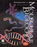 Introduction to Molecular Biology by Peter Paolella