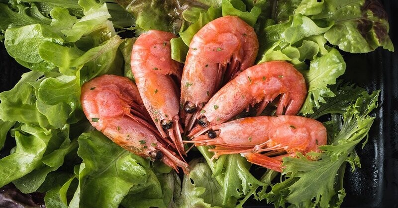 Shrimp Boxx Medium Box (5lb Boxx Royal red Shrimp)