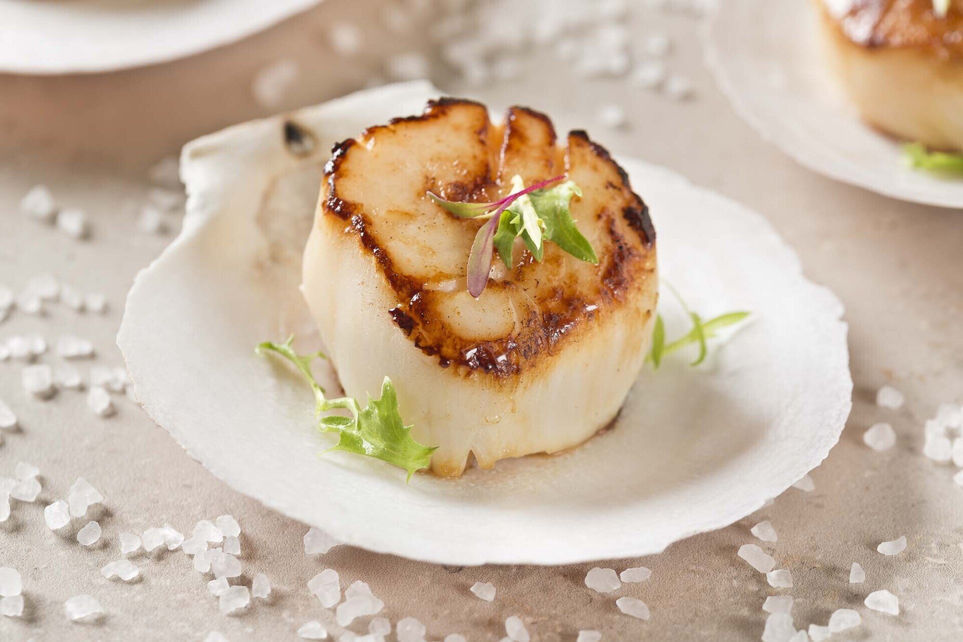 Myseafood Supreme Feast