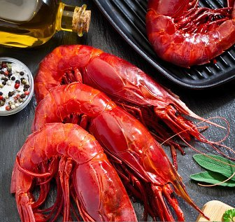 Royal Red Shrimp