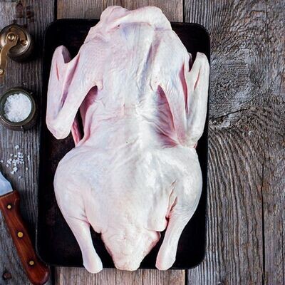 Pekin Duckling - Halal Cert.