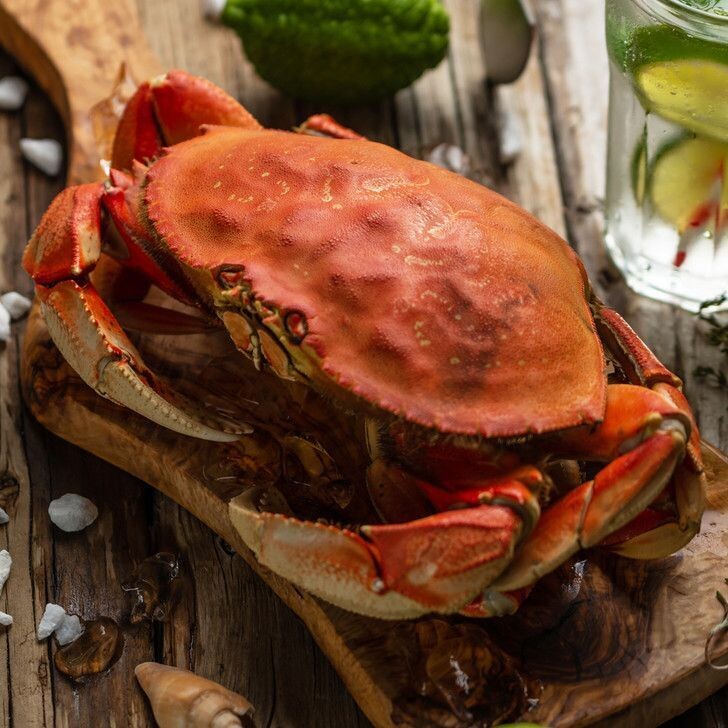 Whole-Cooked Jumbo Alaska Dungeness Crab Whole-Cooked Jumbo Alaska Dungeness Crab