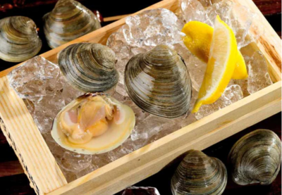 LITTLENECK CLAMS - DOZEN