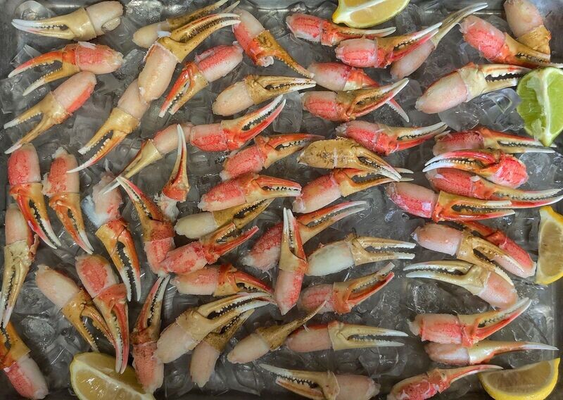 Snow Crab | Cocktail Claws - 3lbs