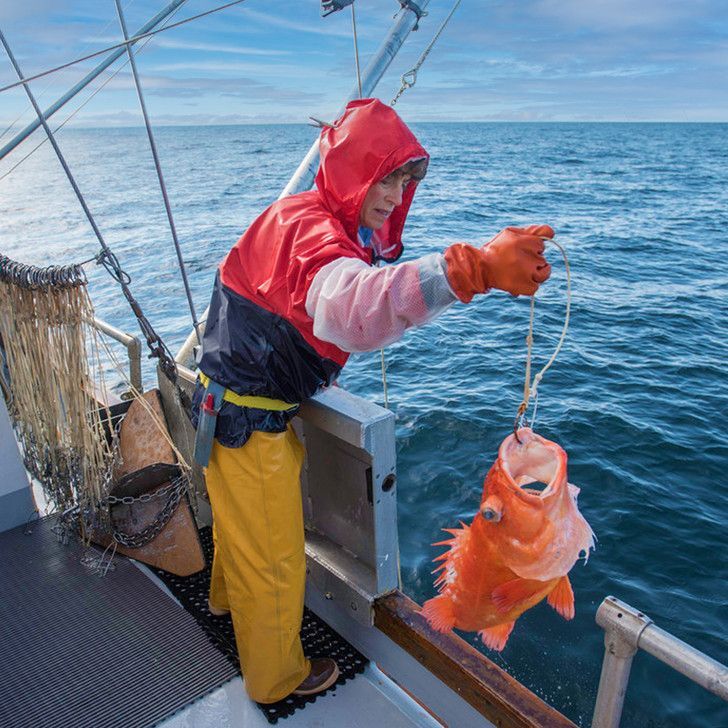 Pacific Rockfish Fillet - Per Pound