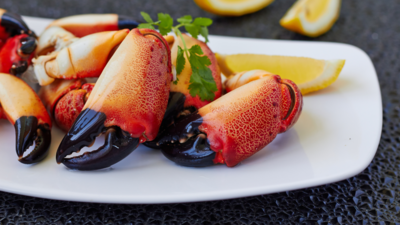 Florida Stone Crab | 8 Jumbo Claws