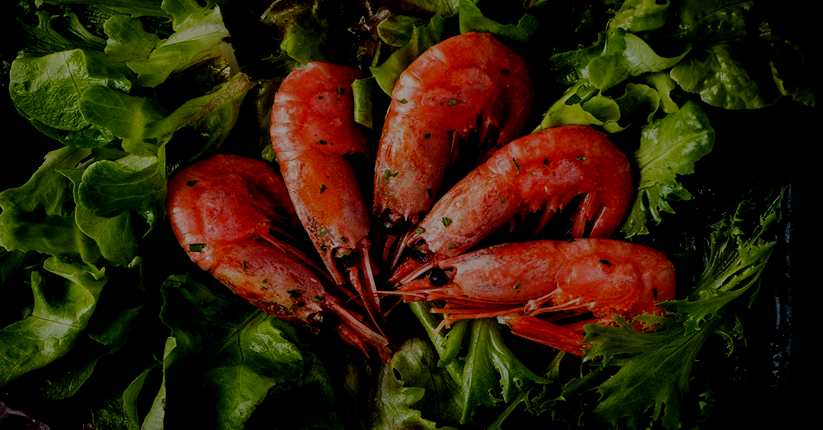 Shrimpboxx Shrimp Lover's Plan $139.95 - FREE SHIPPING