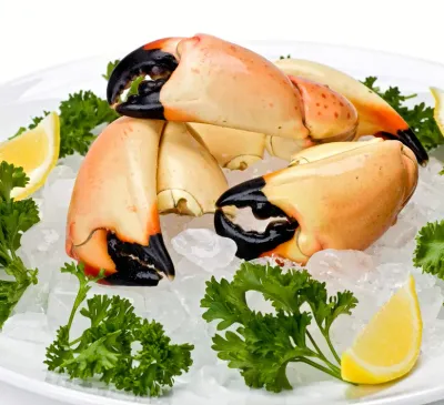 Stone Crab Claws