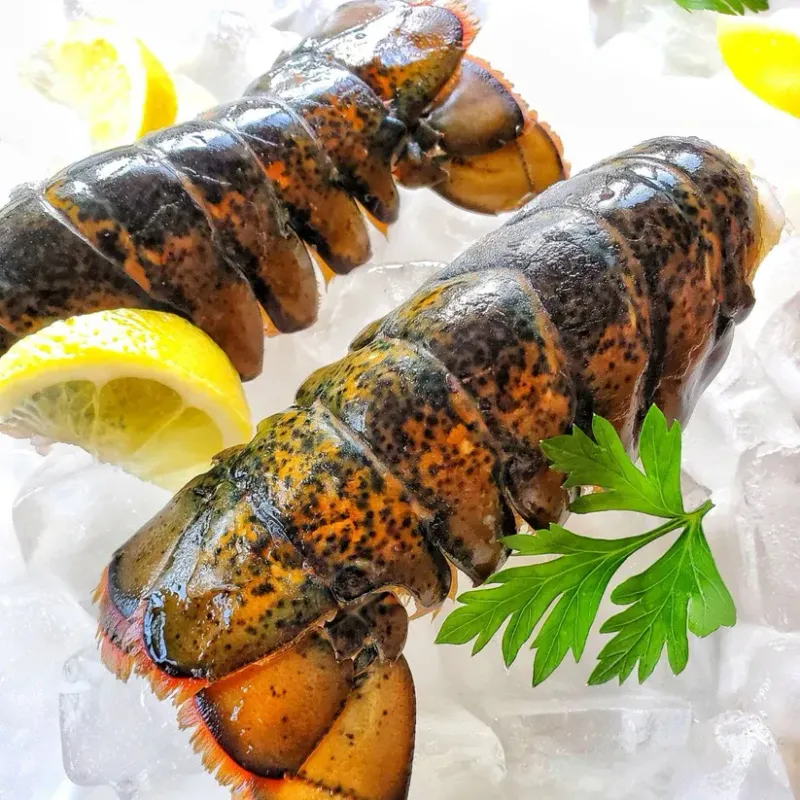 Maine Cold Water Lobster Tails 8 To 10 oz EACH - BUY & GET