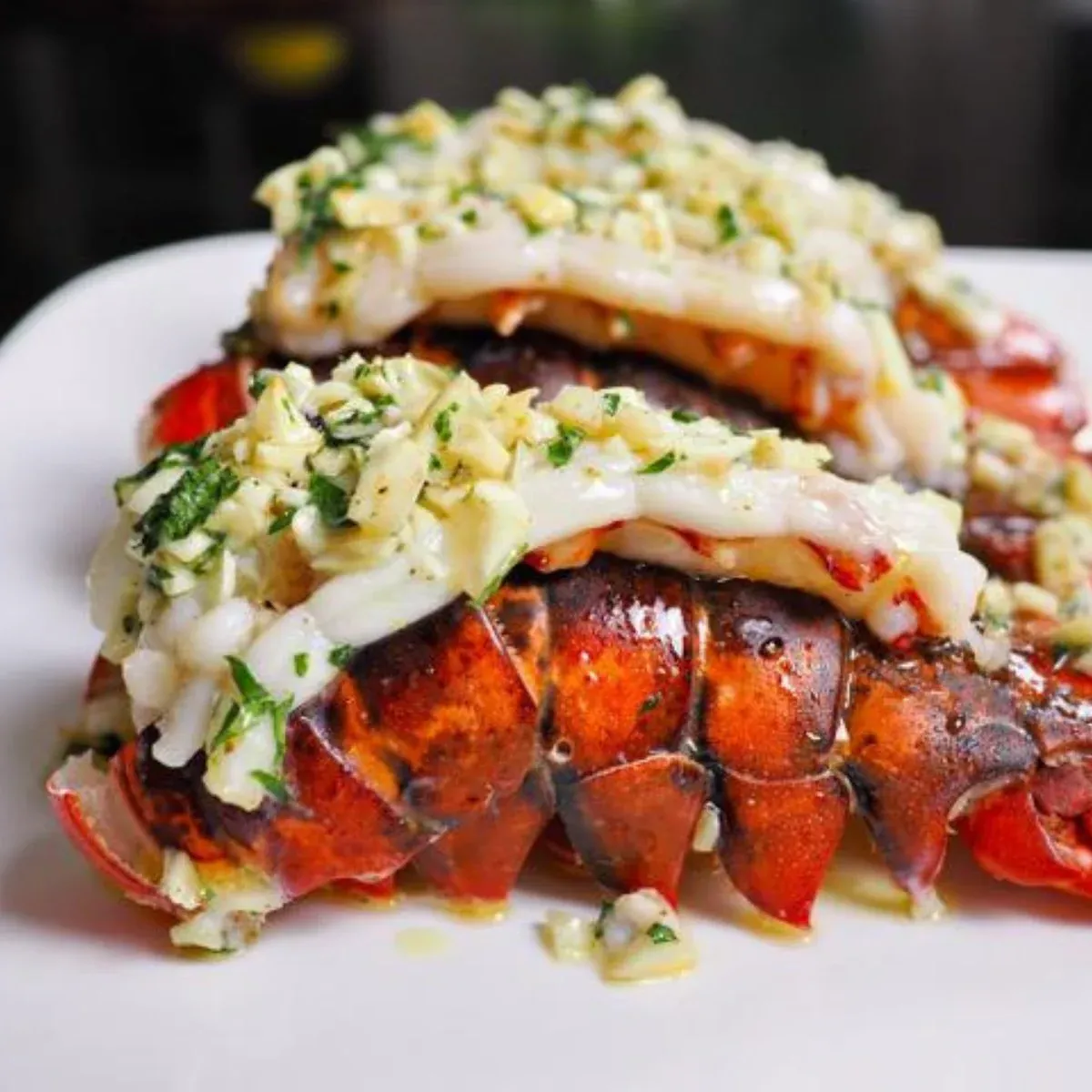 Maine Cold Water Lobster Tails 8 To 10 oz EACH - BUY & GET