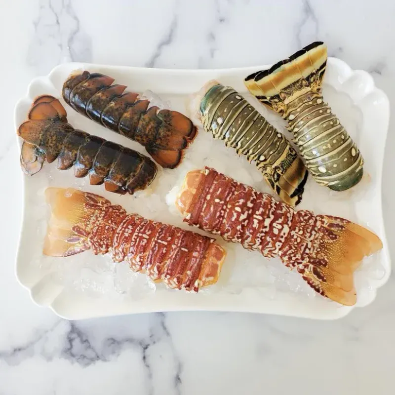 Trifecta Lobster tails