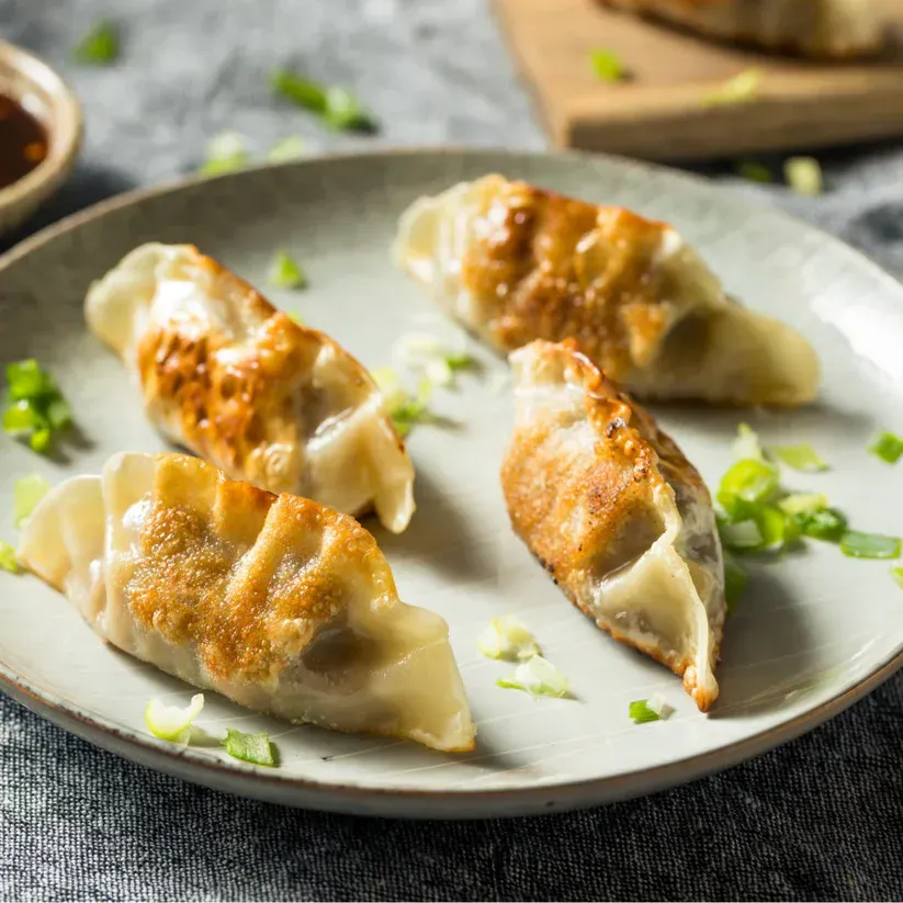 Chicken, Leek & Scallion Gyoza Dumpling - 2 dozen