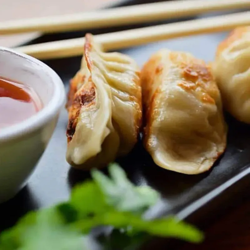 Trifecta Dumplings (Gyoza's)
