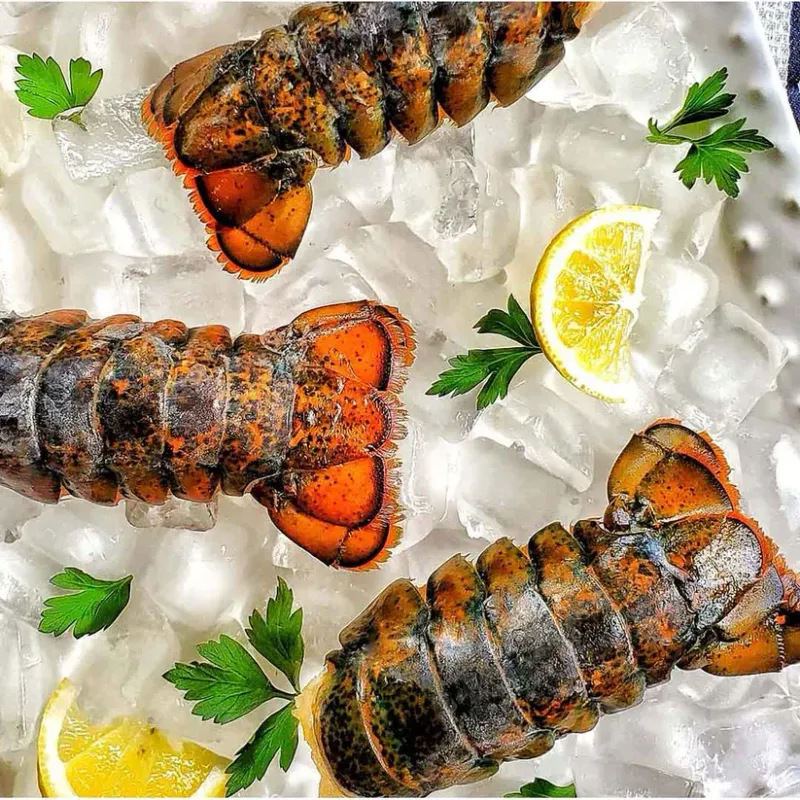 Maine Cold Water Lobster Tails-Large 6-7 oz 10 for $255.99