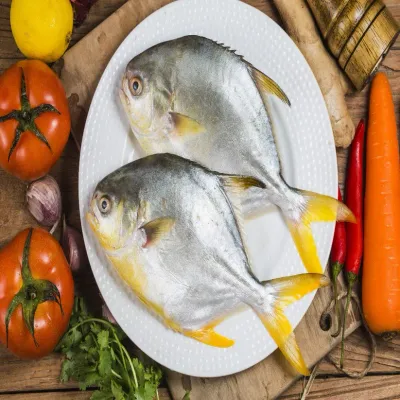 Pompano Fish