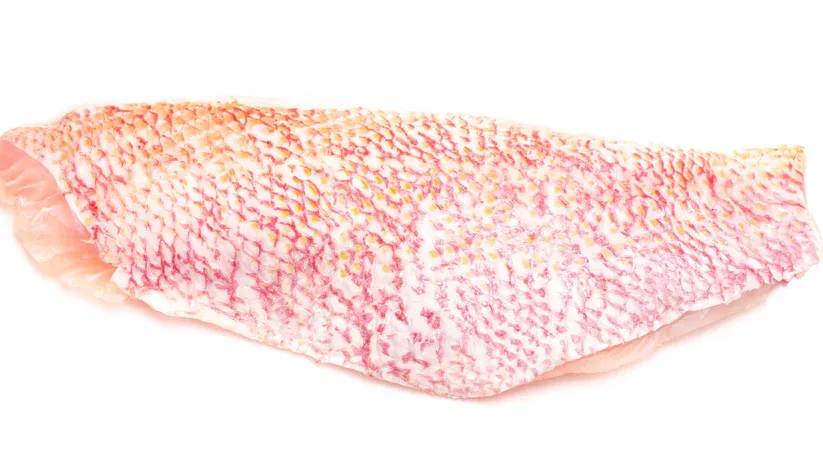Fresh Red Snapper Fillet