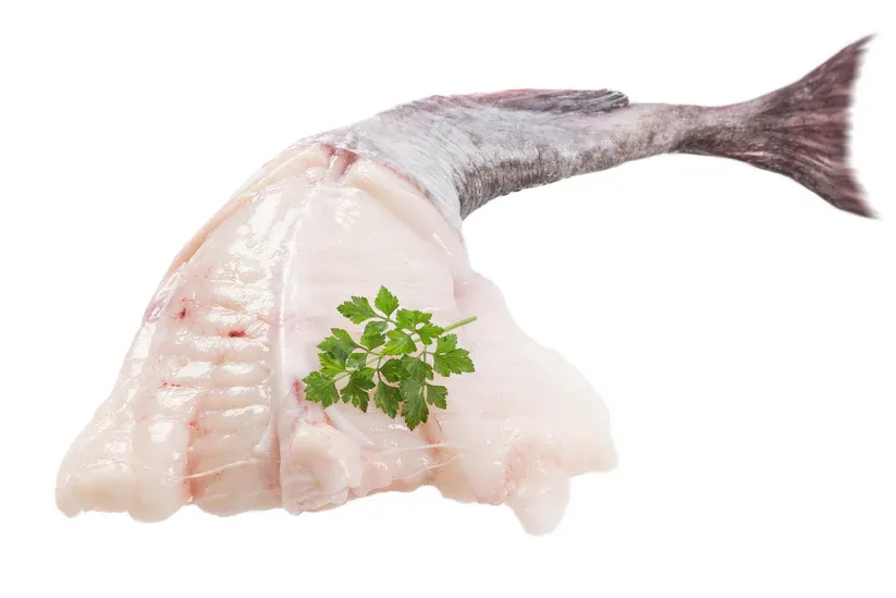 Monkfish Fillet, Fresh
