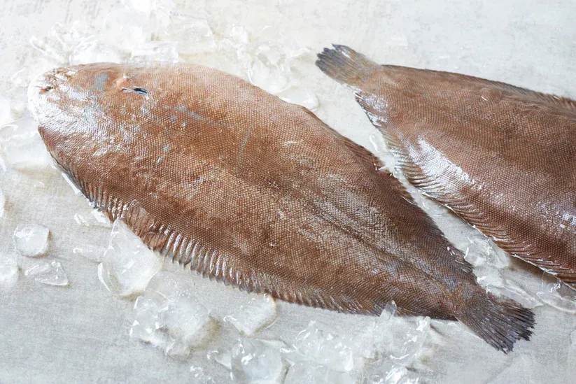 Dover Sole, Fresh, Holland, Wild Caught, 1 Lb Ea