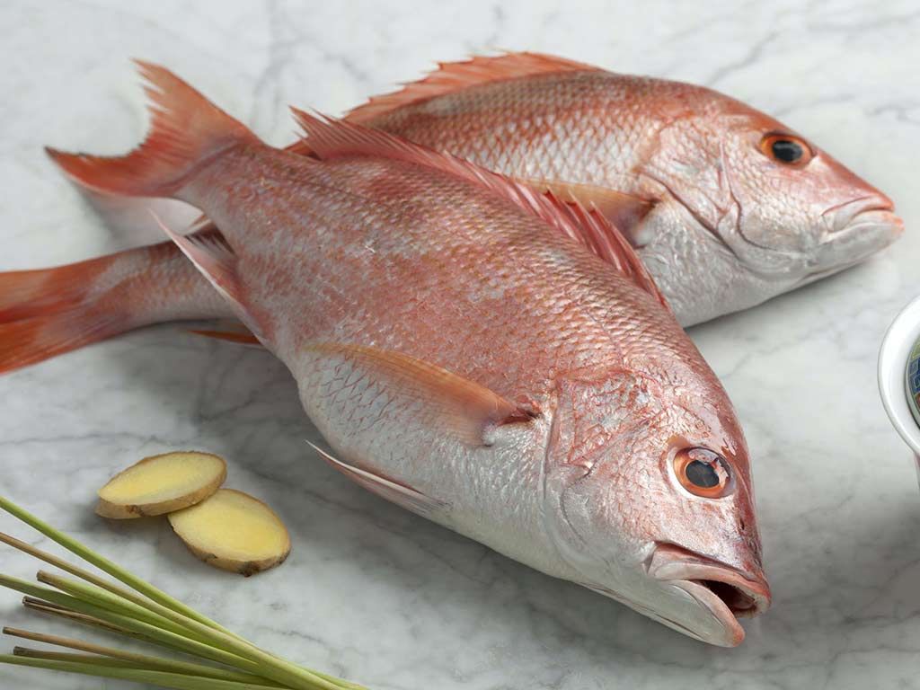Red Snapper Fish, Whole, Wild, Florida, 2 - 2.75 lb each