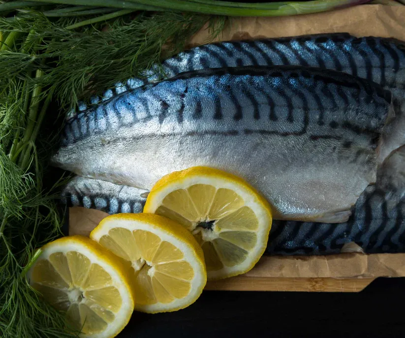 Mackerel, Spanish, Wild Caught, Fillet