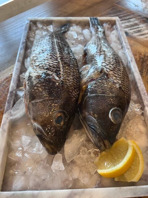 Black Sea Bass - Whole, Wild Caught, 1 1/2-2 lb Ea.