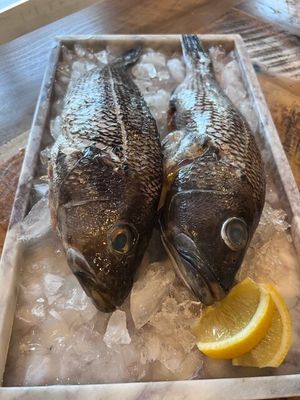 Black Sea Bass - Whole, Wild Caught, 1 1/2-2 lb Ea.