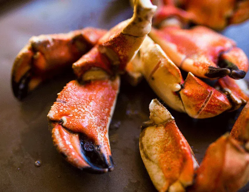 Jonah Crab Claws, 5lb