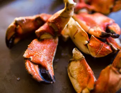 Jonah Crab Claws, 5lb