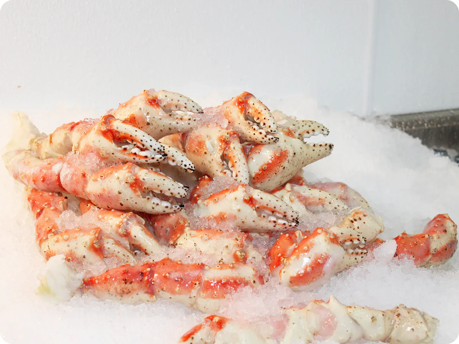Red King Crab Claws and Large Pieces, 1LB