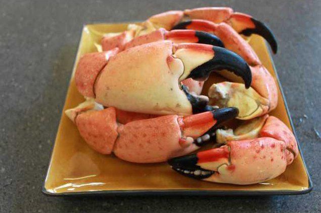 Florida Stone Crab Claws, Jumbo
